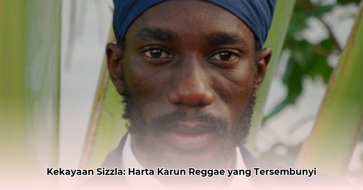 sizzla kalonji net worth